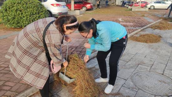 2EEA8F286BA2EE424153063B66CAC35A